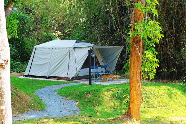 Camp Trees Forest Stockfoto