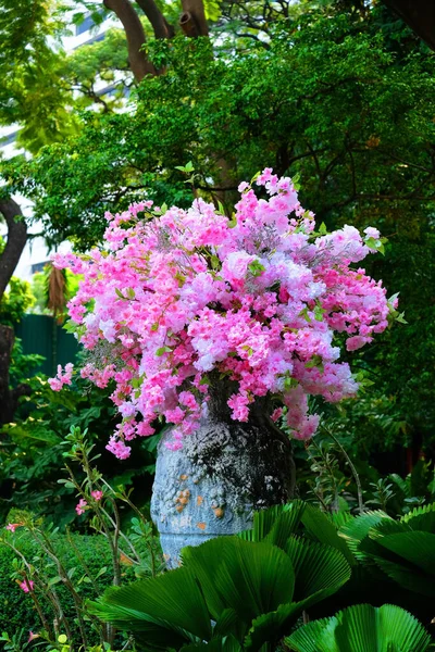 位于浪漫花园的一个大花盆里 盛满了艳丽的粉红色玫瑰 — 图库照片