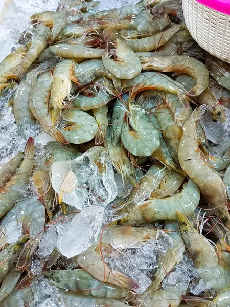 Pacific White Shrimp Covered Ice Metal Tray — Fotografia de Stock