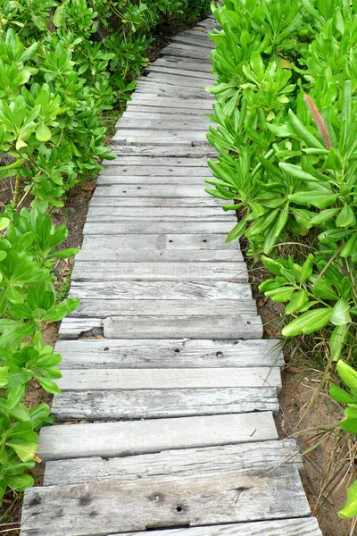 Pasarela Puente Madera Jardín Con Hojas Verdes — Foto de Stock