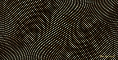 Çizgili altın rengi. Altın renkli çizgili arka plan. Soyut altın çizgi dokusu. desen vektör illüstrasyonu.