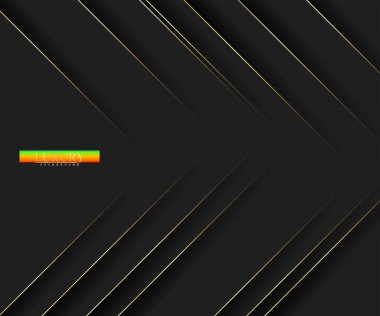 Birinci sınıf bir geçmiş. Soyut lüks model. Altın renkli çizgili arka plan. Soyut altın çizgi dokusu. Siyah desen vektör illüstrasyonu.