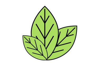Yaprak yassı ikon. Çevre yeşili yapraklar. Eko ve biyologo tasarımı için elementler. Vektör illüstrasyonu. 