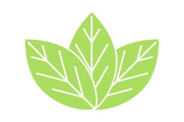 Yaprak yassı ikon. Çevre yeşili yapraklar. Eko ve biyologo tasarımı için elementler. Vektör illüstrasyonu. 