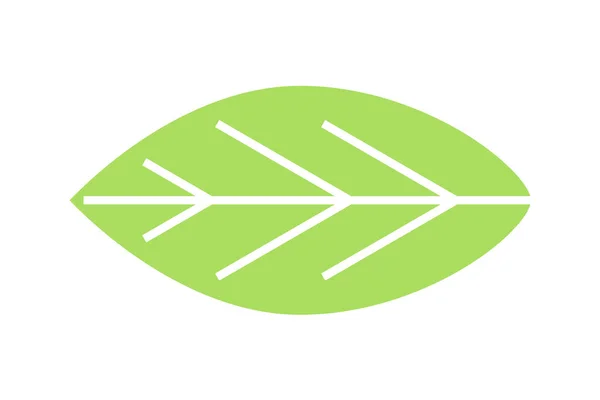 Листя Плоскої Піктограми Еко Зелене Листя Елементи Екологічного Біологічного Дизайну — стоковий вектор