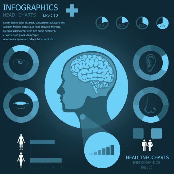 Infografía de Head Infochart — Archivo Imágenes Vectoriales