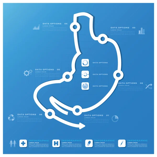 Modelo de Design de Infográfico Médico e de Negócios de Forma de Estômago — Vetor de Stock