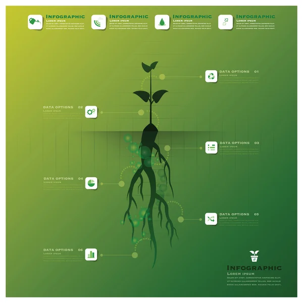 Modèle de conception d'infographie d'arbre et de racine — Image vectorielle