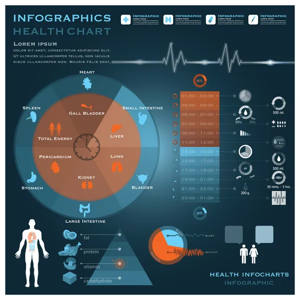 Salud Reloj Biológico e Infografía Médica Infocharts — Vector de stock