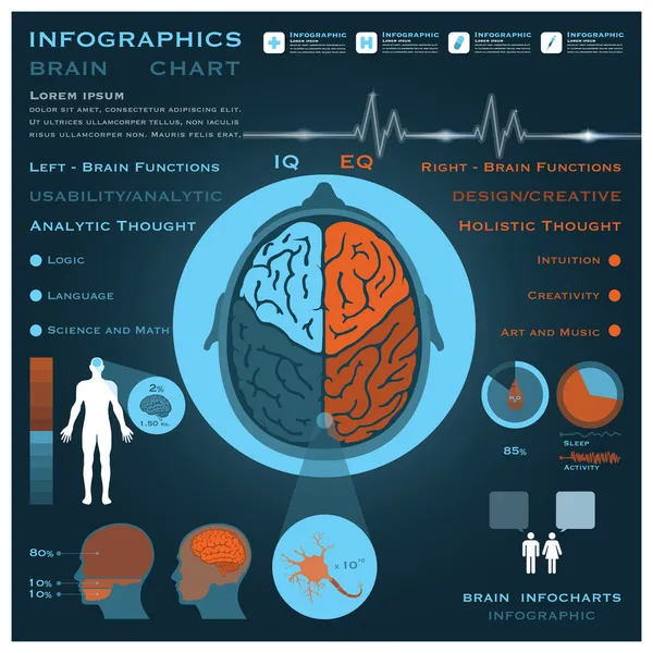 मेंदू इन्फोग्राफिक इन्फोग्राफिक आरोग्य आणि वैद्यकीय — स्टॉक व्हेक्टर