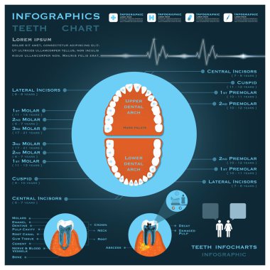 Diş Infographic infocharts sağlık ve tıp