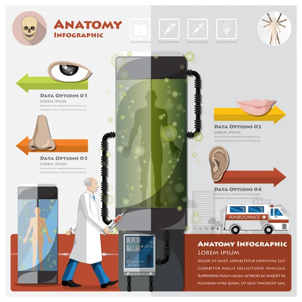 Gesundheit und medizinische Hals-Nasen-Ohren-Heilkunde Anatomie Infografik — Stockvektor