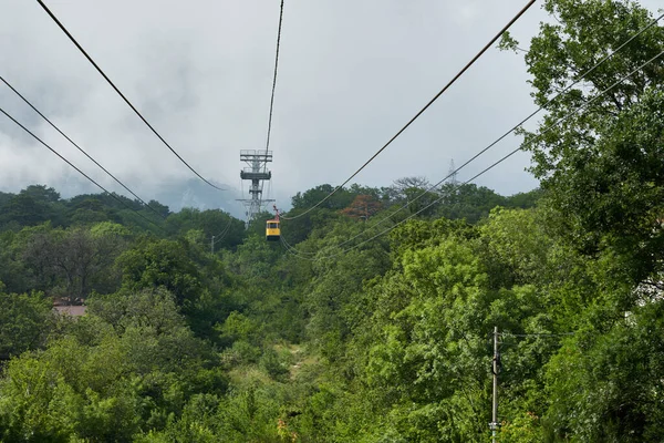 Sky safari cable car taronga zoo cable car sydney australia Stock
