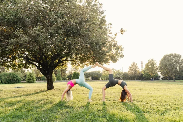 Yoga Ginástica Treinamento Desportivo Menina Fora Parque Pôr Sol Estilo — Fotografia de Stock