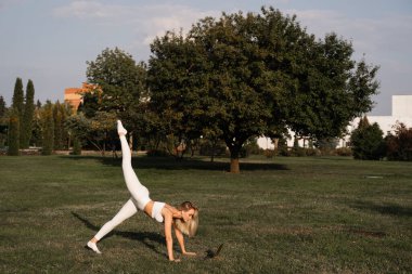 Parktaki çimlerin üzerinde dizüstü bilgisayarla esneme antrenmanı yapılıyor. Açık hava antrenmanından önce sarışının ısınması. Spor yaşam tarzı