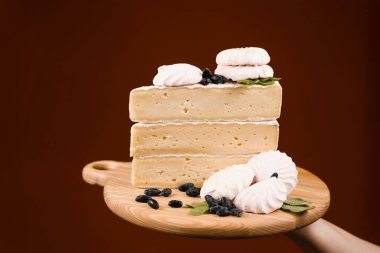 Peynirli sommelier elinde krem peynirli krema tabağı. Peynir dükkanı reklamı için yaratıcı bir fikir.