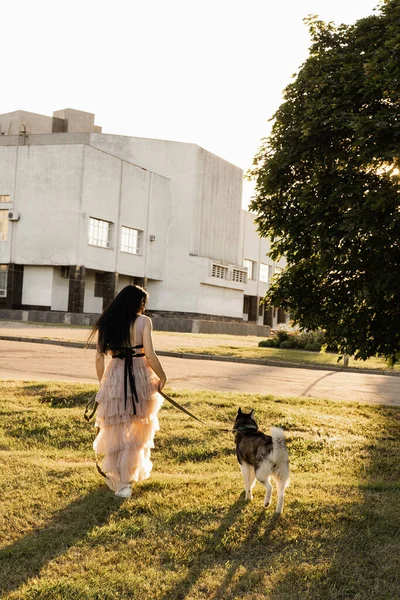 Georgian woman walking with siberian husky at sunset. Attractive girl with her lovely dog playing on the street