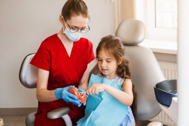 Diş hekimi çocuğa diş fırçasının nasıl düzgün kullanılacağını gösteriyor. Çene anatomik model diş fırçalama. Pediatrik dişçi, diş hekimliğinde çocuklara ağız temizliği dersi veriyor.