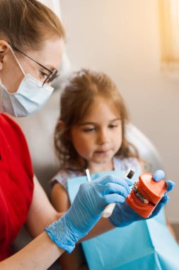 Diş hekimliğinde çocuk için ağız hijyenik çene anatomik modeli dersi. Dişçi çocuğa diş fırçasıyla dişlerini nasıl düzgün fırçalayacağını gösteriyor.