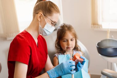 Oral hygiene lesson of jaw anatomical model for child in dentistry. Dentist shows child how to properly brush his teeth with a toothbrush