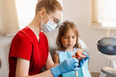 Diş hekimliğinde çocuk için ağız hijyenik çene anatomik modeli dersi. Dişçi çocuğa diş fırçasıyla dişlerini nasıl düzgün fırçalayacağını gösteriyor.
