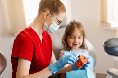 Diş hekimi çocuğa diş fırçasının nasıl düzgün kullanılacağını gösteriyor. Çene anatomik model diş fırçalama. Pediatrik dişçi, diş hekimliğinde çocuklara ağız temizliği dersi veriyor.