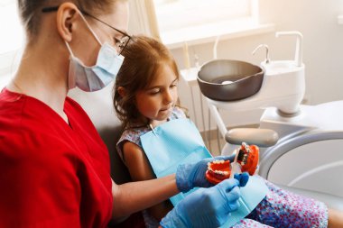 Dentist shows child how to properly use toothbrush for brush teeth. Jaw anatomical model teeth brushing. Pediatric dentist teaching oral hygiene lesson for kids in dentistry