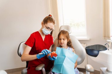 Diş hekimi çocuğa diş fırçasının nasıl düzgün kullanılacağını gösteriyor. Çene anatomik model diş fırçalama. Pediatrik dişçi, diş hekimliğinde çocuklara ağız temizliği dersi veriyor.