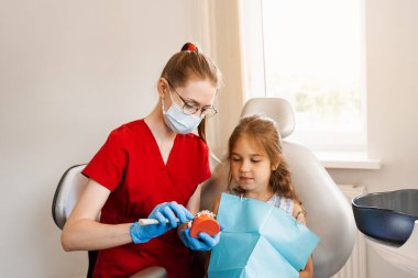 Diş hekimi çocuğa diş fırçasının nasıl düzgün kullanılacağını gösteriyor. Çene anatomik model diş fırçalama. Pediatrik dişçi, diş hekimliğinde çocuklara ağız temizliği dersi veriyor.