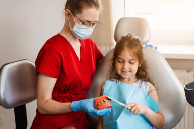 Pediatric dentist teaching oral hygiene lesson for kids in dentistry. The dentist shows child how to properly use toothbrush for brush teeth. Jaw anatomical model teeth brushing