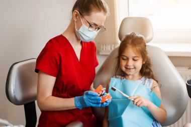 Pediatric dentist teaching oral hygiene lesson for kids in dentistry. The dentist shows child how to properly use toothbrush for brush teeth. Jaw anatomical model teeth brushing