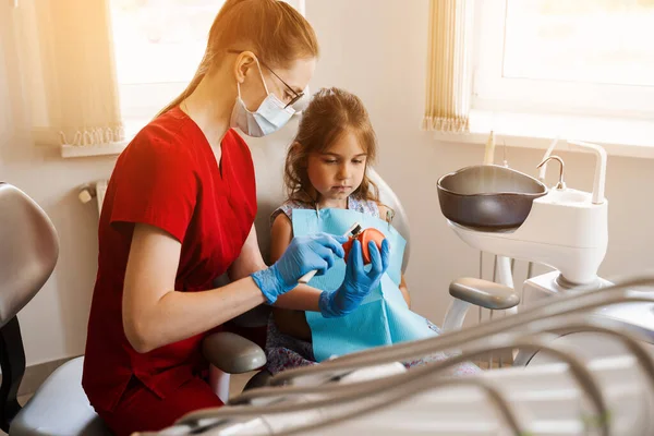 Diş hekimi çocuğa diş fırçasının nasıl düzgün kullanılacağını gösteriyor. Çene anatomik model diş fırçalama. Pediatrik dişçi, diş hekimliğinde çocuklara ağız temizliği dersi veriyor.