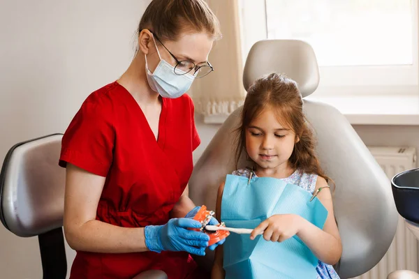 Pediatric dentist teaching oral hygiene lesson for kids in dentistry. The dentist shows child how to properly use toothbrush for brush teeth. Jaw anatomical model teeth brushing