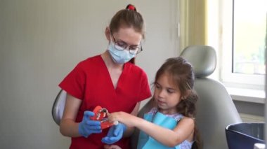 Oral hygiene lesson of jaw anatomical model for child in dentistry 4k video. Dentist shows child how to properly brush his teeth with a toothbrush