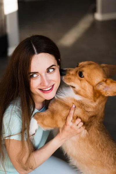 Welsh Corgi Pembroke dog kiss his girl owner at home. Lifestyle with domestic playful pet. Young woman hug lovely Corgi dog and smile