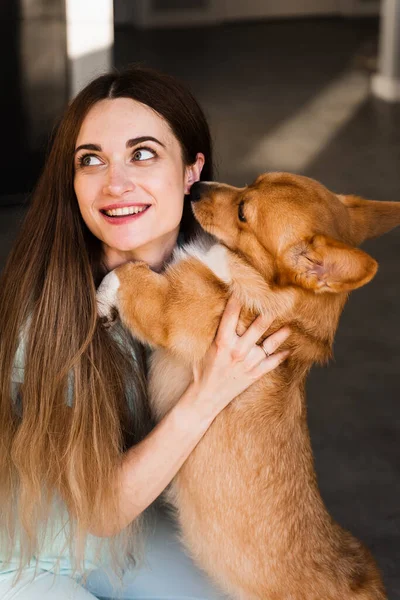 Welsh Corgi Pembroke dog kiss his girl owner at home. Lifestyle with domestic playful pet. Young woman hug lovely Corgi dog and smile