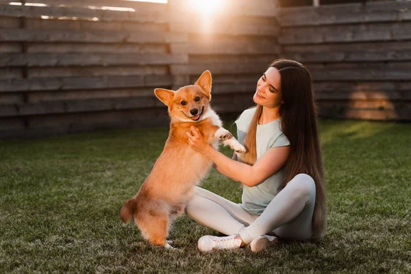 Domestic Corgi Dog Girl Owner Young Woman Sitting Grass Hug — Fotografia de Stock