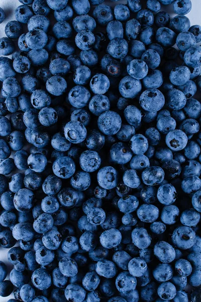 Blueberries Water Drops Blueberry Summer Seasonal Berry Many Natural Organic — Foto de Stock