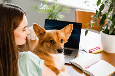 Distance education. Girl student with laptop study online with her lovely Corgi dog at home. Young woman hug Welsh Corgi Pembroke and making notes in notebook. Lifestyle with domestic pet