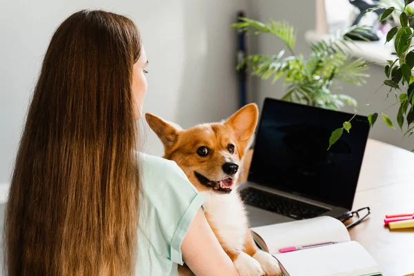 Distance education. Girl student with laptop study online with her lovely Corgi dog at home. Young woman hug Welsh Corgi Pembroke and making notes in notebook. Lifestyle with domestic pet