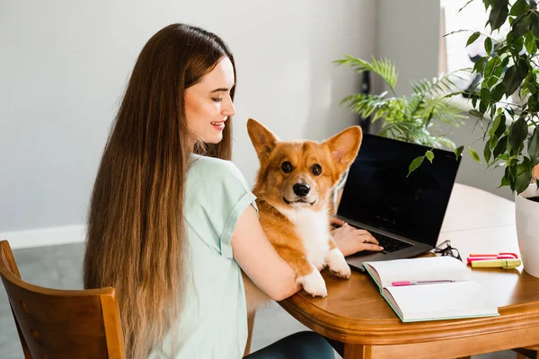 Distance education. Girl student with laptop study online with her lovely Corgi dog at home. Young woman hug Welsh Corgi Pembroke and making notes in notebook. Lifestyle with domestic pet