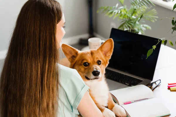 Distance education. Girl student with laptop study online with her lovely Corgi dog at home. Young woman hug Welsh Corgi Pembroke and making notes in notebook. Lifestyle with domestic pet