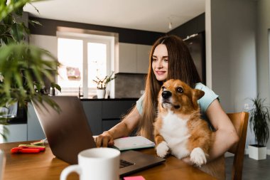 Designer girl with Corgi dog working online on laptop and communicating with colleagues. Teamwork with Welsh Corgi Pembroke at home. Remote work lifestyle with domestic pet