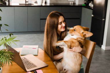 Girl with laptop smile and play with Corgi dog at home. Programmer woman working online and have a break for hug her dog. Having fun with Welsh Corgi Pembroke