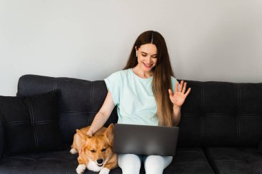 IT specialist girl with laptop and Corgi dog chat online with colleagues, gesticulates and explains creative concept of new project. Teamwork with Welsh Corgi Pembroke at home