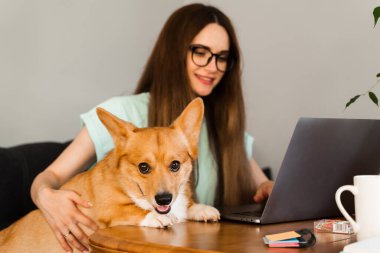 Distance education. Girl student in glasses with laptop study online with her lovely Corgi dog at home. Young woman hug Welsh Corgi Pembroke. Lifestyle with domestic pet.