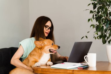 Distance education. Girl student in glasses with laptop study online with her lovely Corgi dog at home. Young woman hug Welsh Corgi Pembroke. Lifestyle with domestic pet.