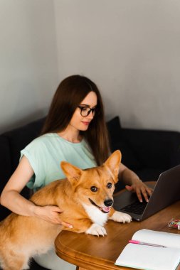 Business woman in glasses working on laptop online and hug Corgi dog. IT specialist girl working remotely and petting her dog with Welsh Corgi Pembroke. Lifestyle with domestic pet at home