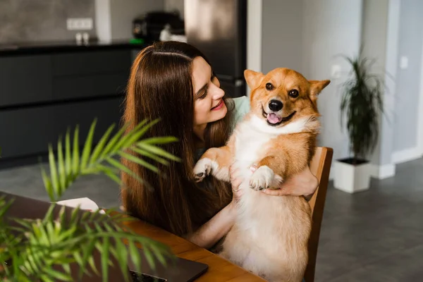 Κορίτσι Laptop Χαμόγελο Και Παίξει Corgi Σκυλί Στο Σπίτι Προγραμματίστρια — Φωτογραφία Αρχείου
