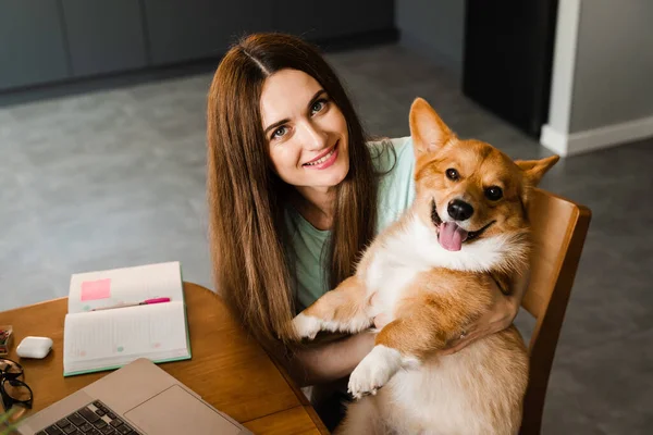 Κορίτσι Laptop Χαμόγελο Και Παίξει Corgi Σκυλί Στο Σπίτι Προγραμματίστρια — Φωτογραφία Αρχείου